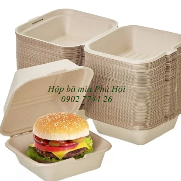 Hộp bã mía vuông đựng hamburger
